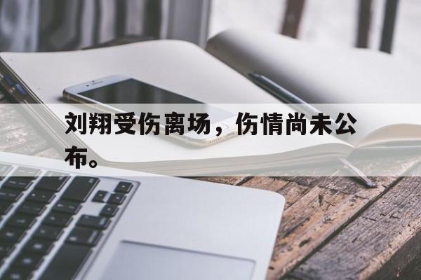 万博-刘翔受伤离场，伤情尚未公布。
